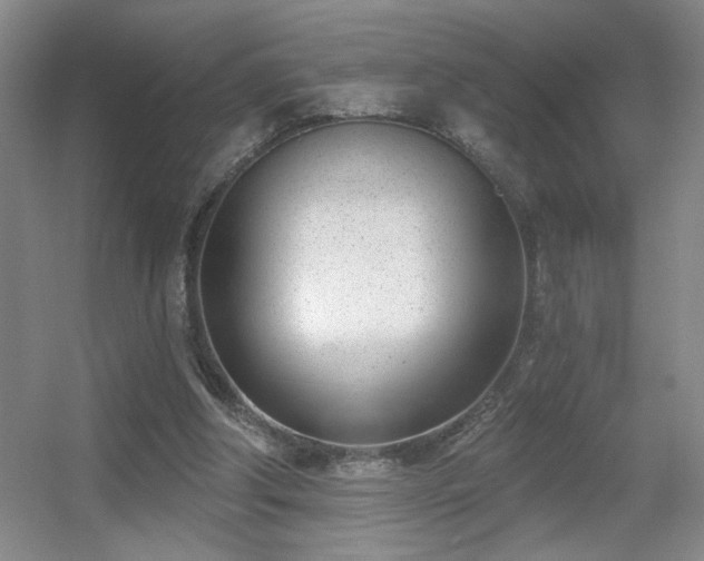 X0000056010202200508221503