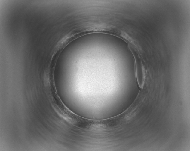 X0000056010203200508221503