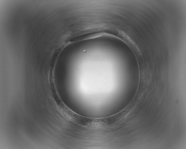 X0000056010209200508221503