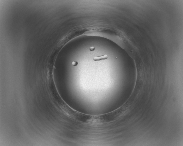 X0000056010211200508221503