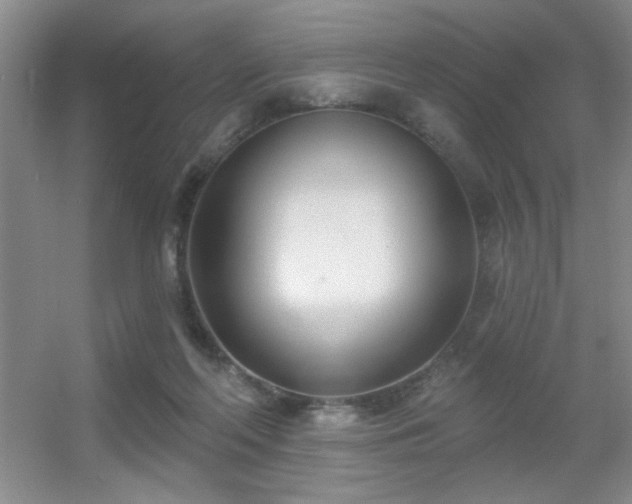 X0000056010214200508221503