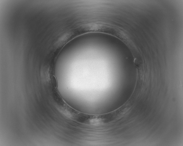 X0000056010216200508221503
