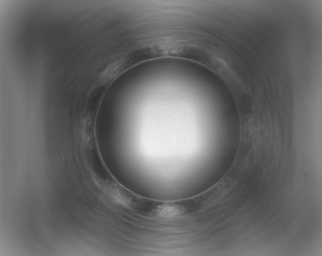 X0000056010218200508221503