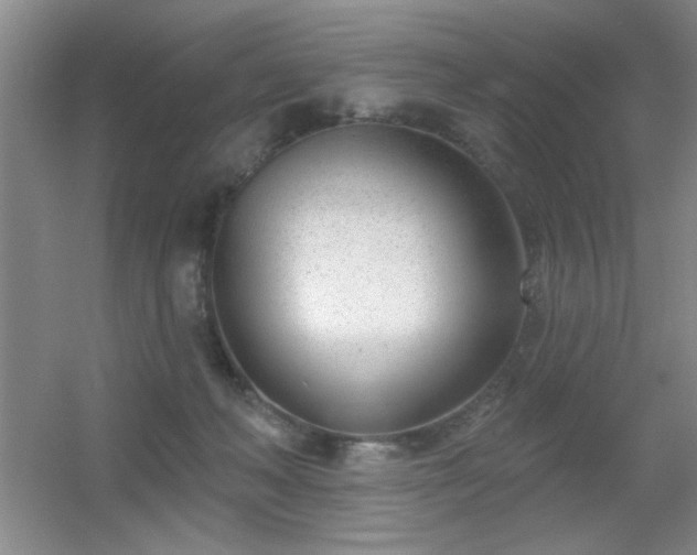 X0000056010222200508221503