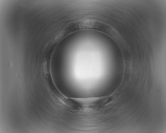 X0000056010224200508221503