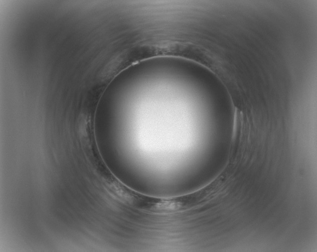 X0000056010225200508221503