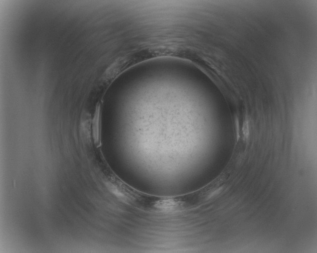 X0000056010231200508221503
