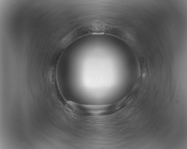 X0000056010233200508221503