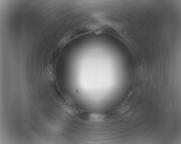 X0000056010234200508221503