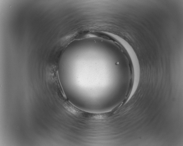 X0000056010237200508221502