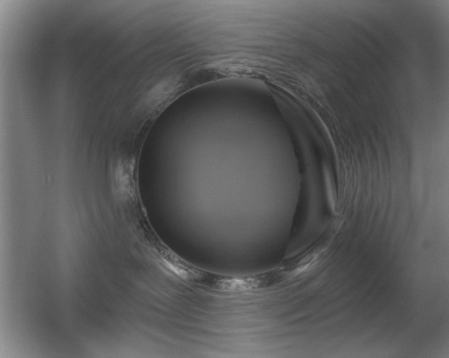 X0000056010239200508221502
