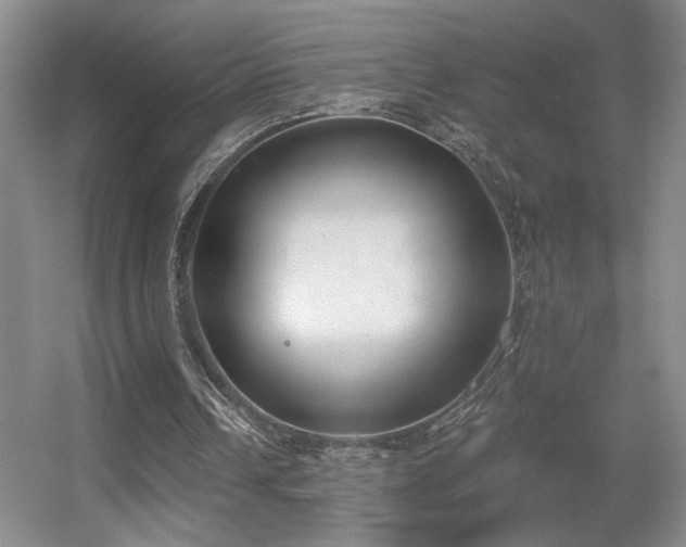 X0000056010242200508221502