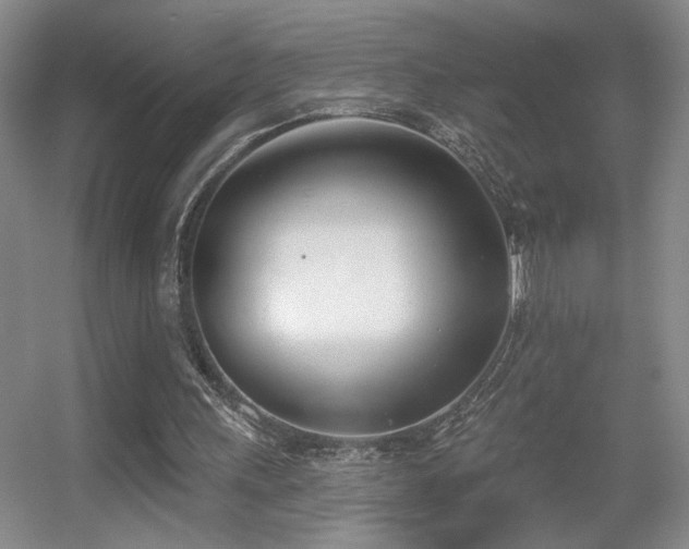 X0000056010243200508221502