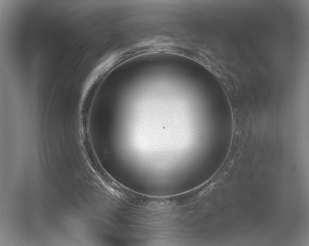 X0000056010245200508221502