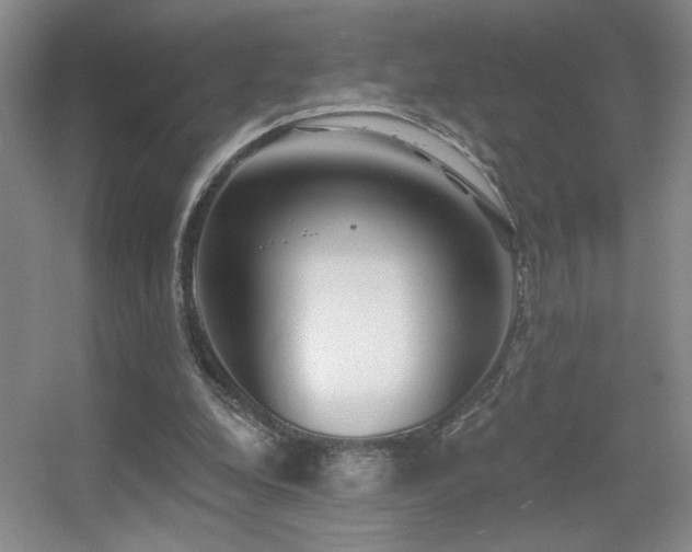 X0000056010248200508221502