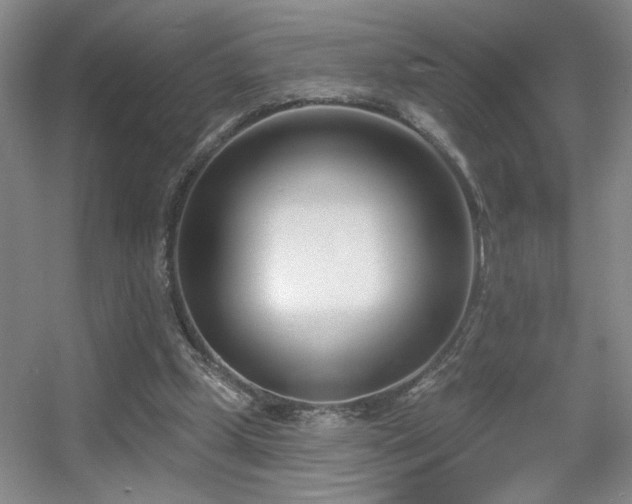 X0000056010249200508221502