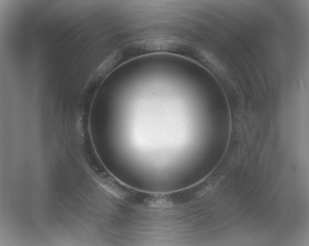 X0000056010258200508221502