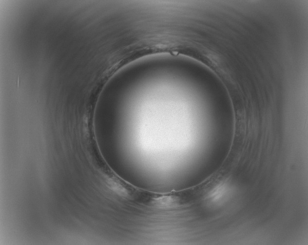 X0000056010269200508221502