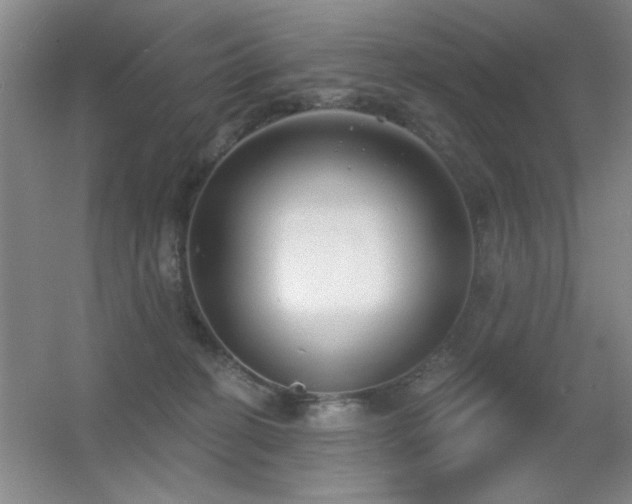 X0000056010274200508221502