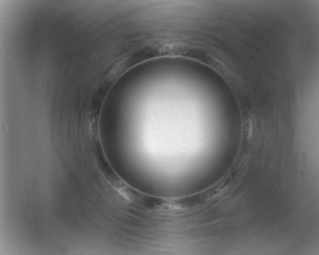 X0000056010276200508221502