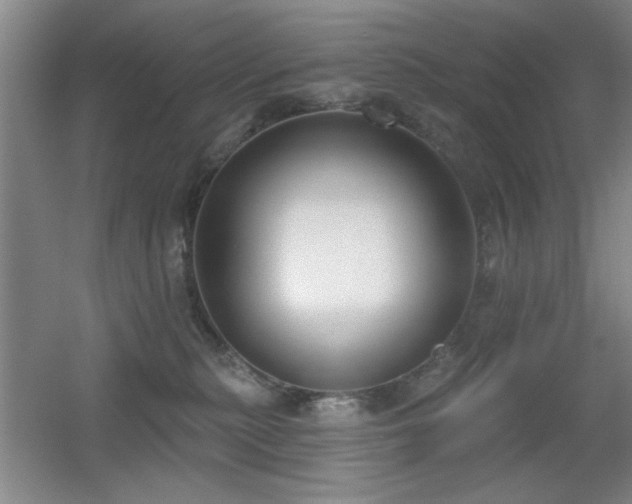X0000056010279200508221502