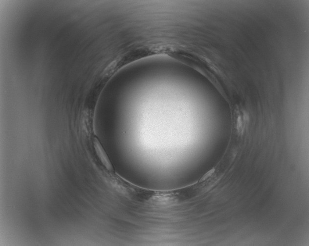 X0000056010280200508221502