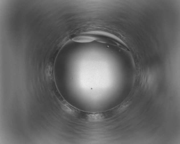 X0000056010281200508221502