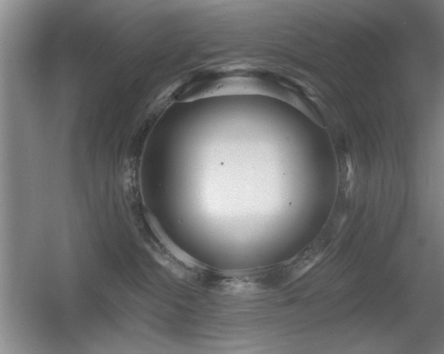 X0000056010284200508221502