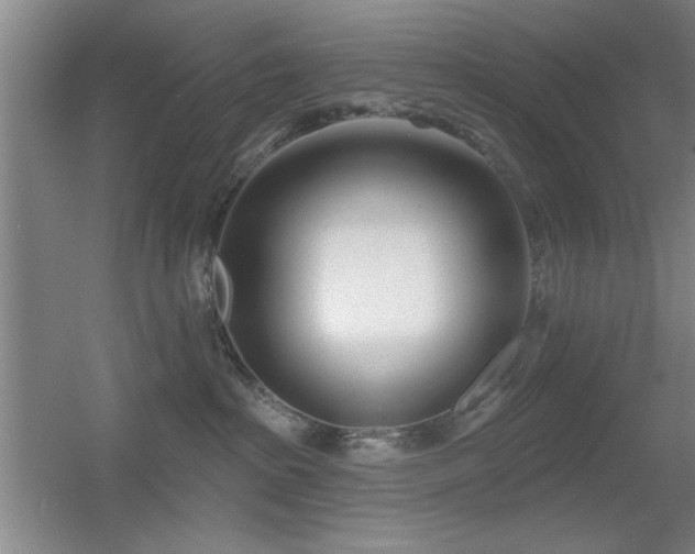 X0000056010285200508221502