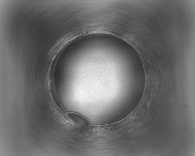 X0000056010290200508221502