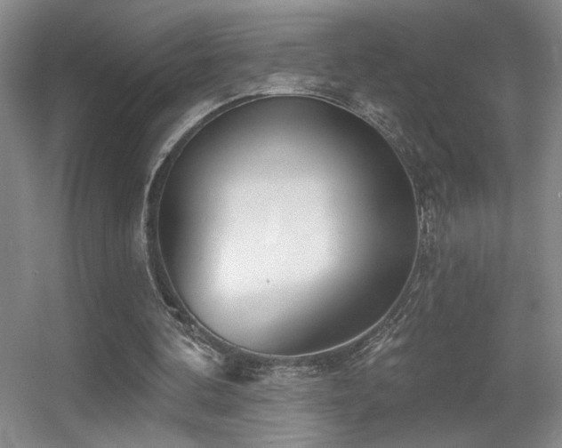 X0000056010292200508221502