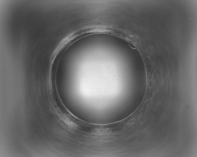 X0000056010296200508221501