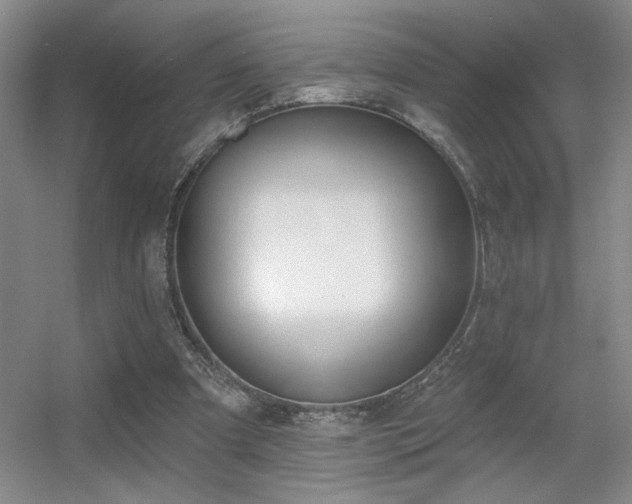 X0000056010297200508221501