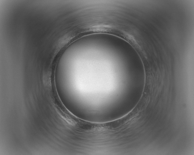 X0000056010299200508221501