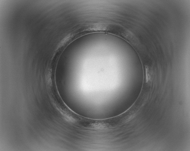 X0000056010300200508221501