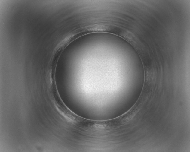 X0000056010302200508221501