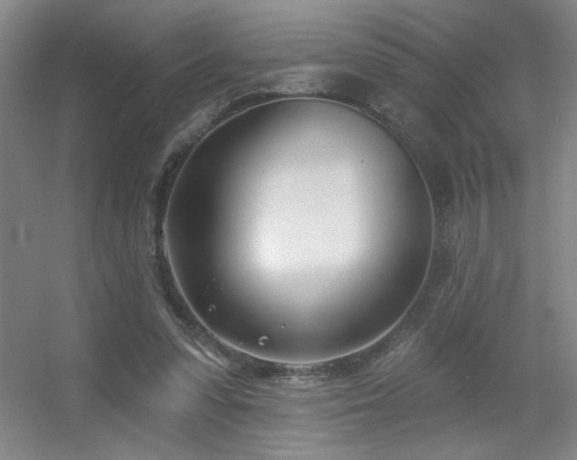 X0000056010303200508221501