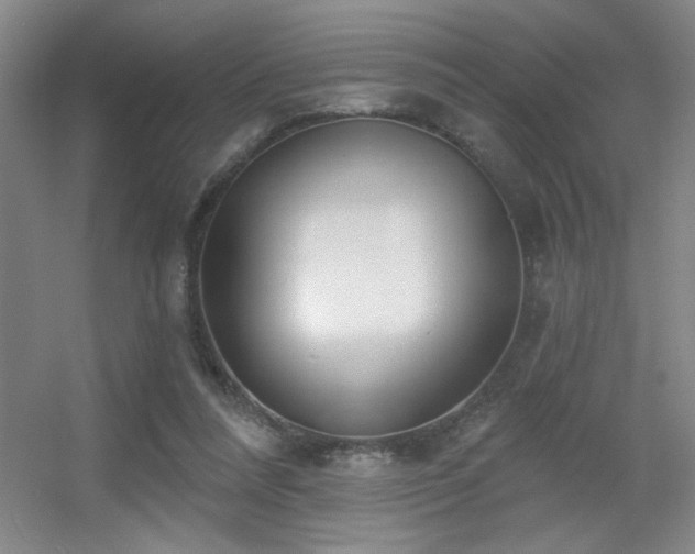 X0000056010304200508221501