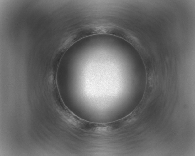 X0000056010314200508221501