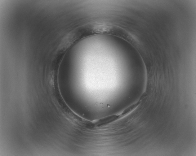 X0000056010315200508221501