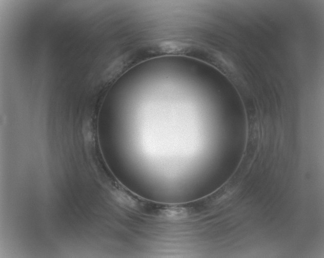 X0000056010317200508221501