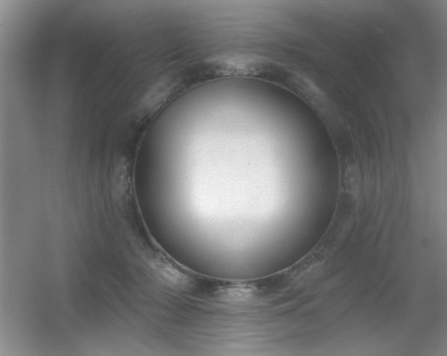 X0000056010318200508221501