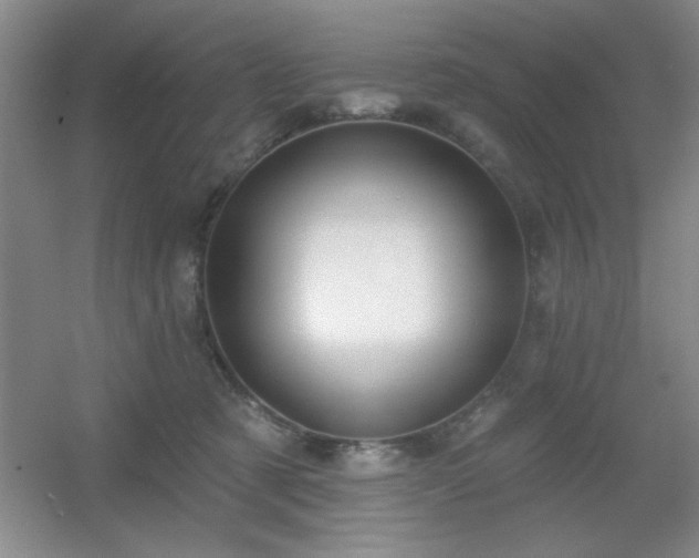 X0000056010321200508221501