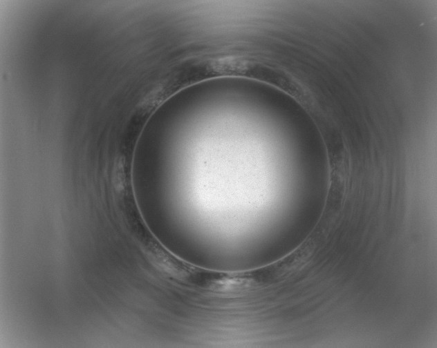 X0000056010323200508221501