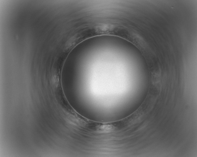 X0000056010324200508221501