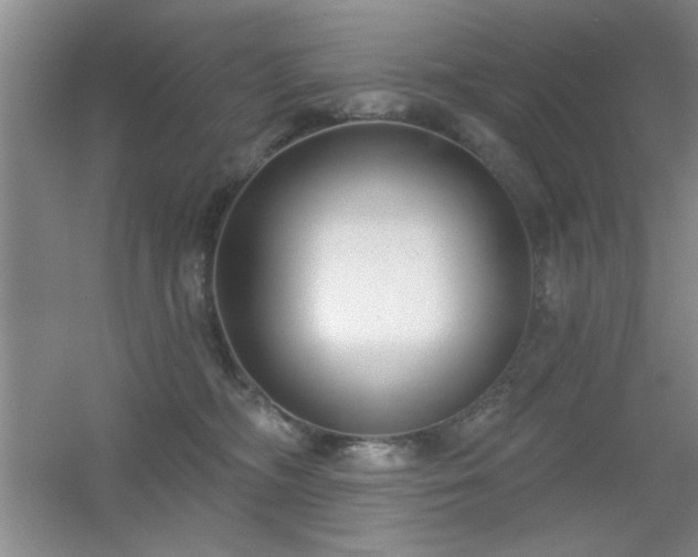 X0000056010326200508221501