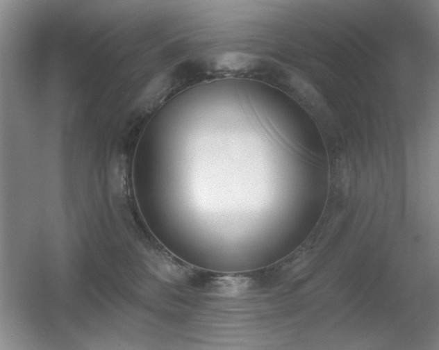X0000056010328200508221501