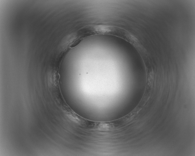 X0000056010330200508221501