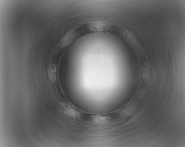 X0000056010332200508221501