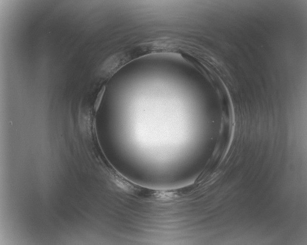 X0000056010333200508221501